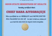 The best powerful spiritual herbalist man in Niger