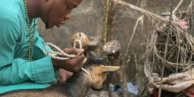 The Best Spiritual Powerful Herbalist In Nigeria