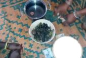 The best powerful spiritual herbalist in Nigeria