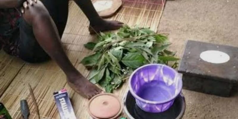 The best powerful spiritual herbalist in Nigeria