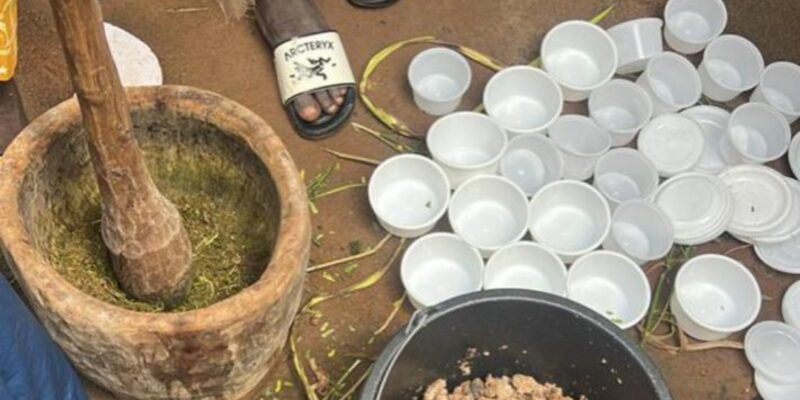 The best powerful spiritual herbalist in Nigeria